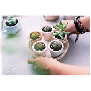 Chậu Đất Nung Mini 5cm