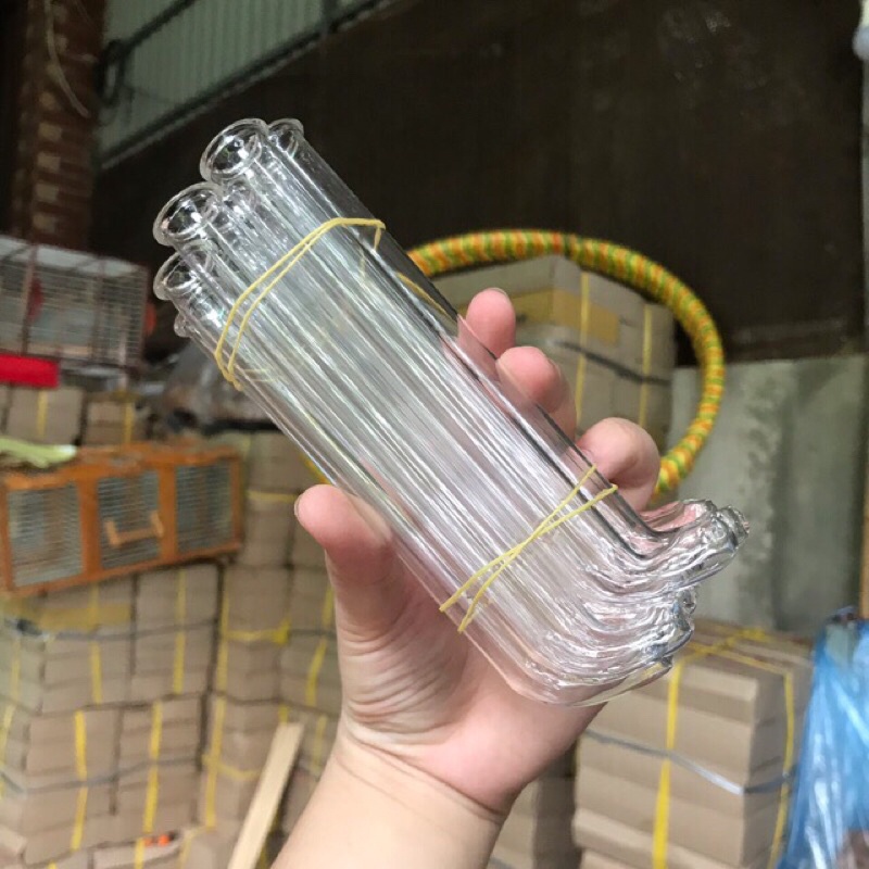 CÓNG THUỶ TINH KHUYÊN ĐẦY ĐỦ TAI NÚT 10c