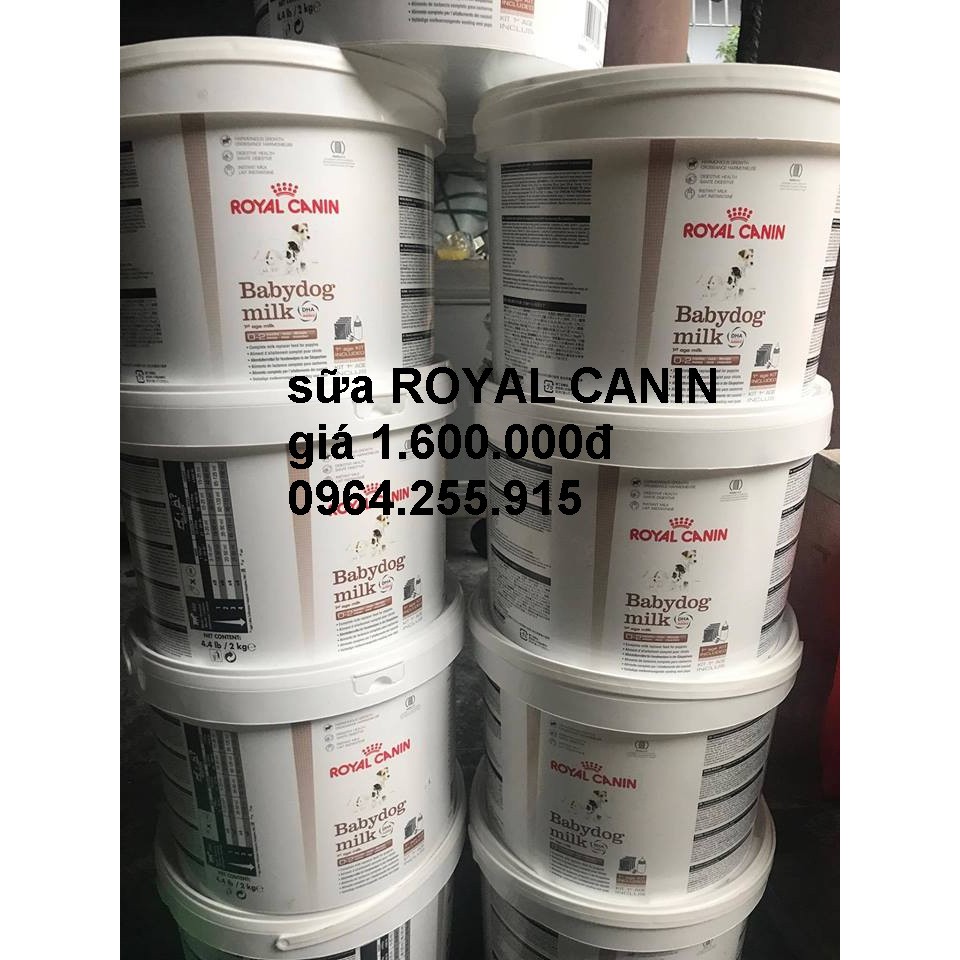 sữa ROYAL CANIN cho cún