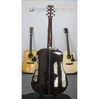 Guitar Acoustic Morris W-25