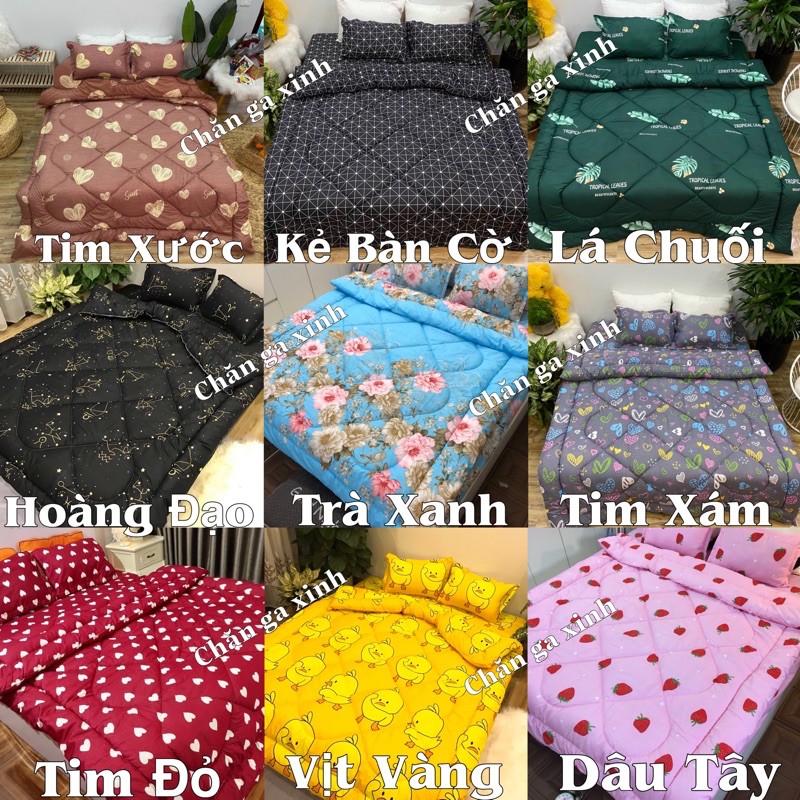 Trọn bộ 5 món ga gối chăn phao poly cotton có ruột bông dày loại 1 ( nhắn chọn mẫu )