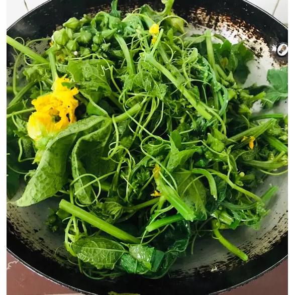Phân Dơi nguyên chất tốt cho Mai - phong Lan - Bonsai 150 gr