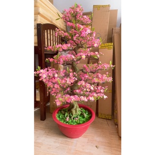 CHẬU HOA ĐÀO BONSAI CAO 1M65-CÂY HOA ĐÀO GIẢ TRANG TRÍ TẾT BD23