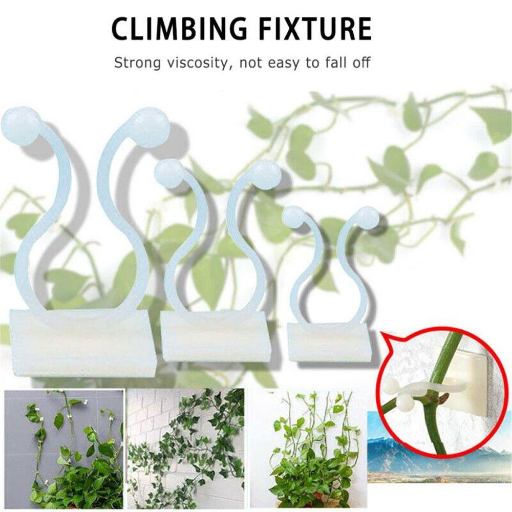 LONTIME Set 10 / 50 Móc Dán Tường Treo Cây Leo