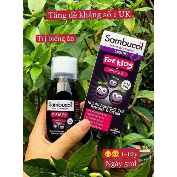 Siro Sambucol Anh 120ml date 2024