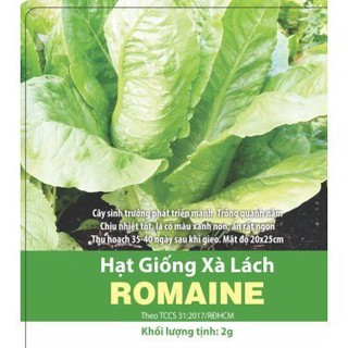 Hạt Giống Xà Lách Romaine Chịu Nhiệt 2gr Rạng Đông