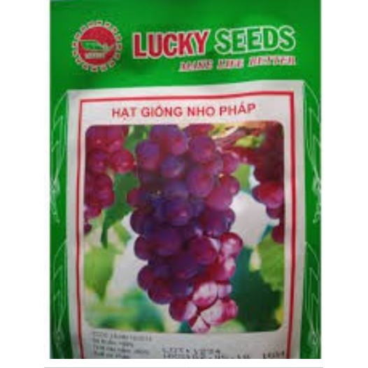 Hạt Giống Nho Pháp Lùn LUCKY SEEDS ( 10 hạt) [ Sale ]