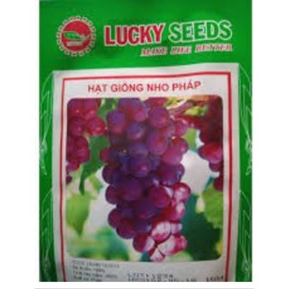 Hạt Giống Nho Pháp Lùn LUCKY SEEDS ( 10 hạt)