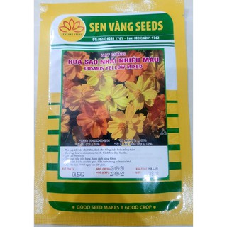hạt giống hoa sao nhái nhiều màu bịch 0.5gr
