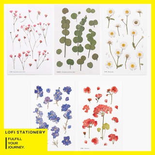 LOFI thực vật những bông hoa nhãn dán nhật ký tự làm nhãn dán trang trí sticker scrapbook