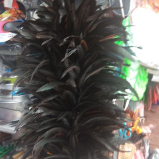 Chổi lông gà