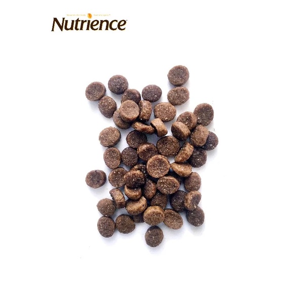 Thức ăn hạt cao cấp dành cho chó trưởng thành giống nhỏ Nutrience Original 2.5kg