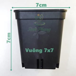 Chậu vuông 7x7 đen (Set 100 cái).