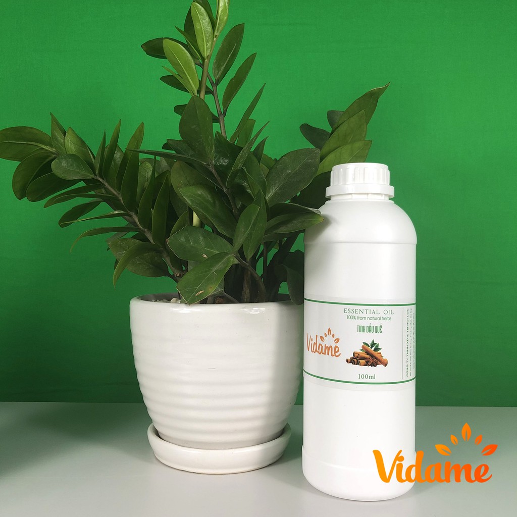 Tinh Dầu Quế 1 lít nguyên chất VIDAME - Hàng Công Ty Nhập Khẩu Ấn Có Kiểm Định Chất Lượng