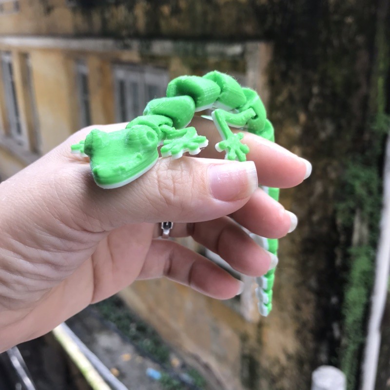 Thằn lằn cute
