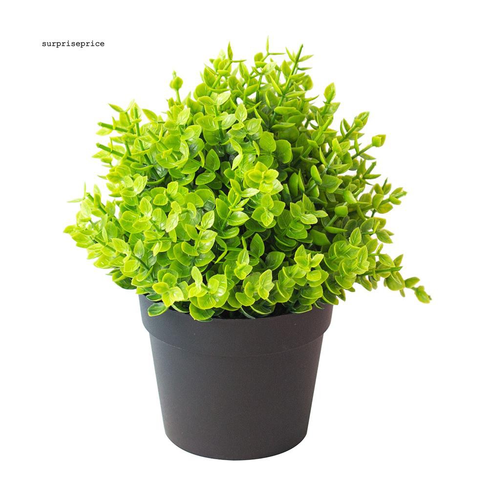 Bộ chậu cây giả bằng nhựa độc đáo chuyên dụng cho trang trí