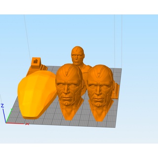 File in 3D Vision Bust