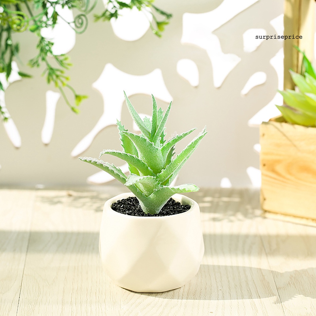 Chậu cây sen đá giả mini nhiều màu sắc trang trí nhà cửa