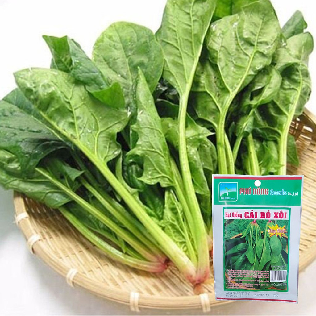 Hạt Giống Cải Chân Vịt Cải Bó Xôi Phú Nông 20gram