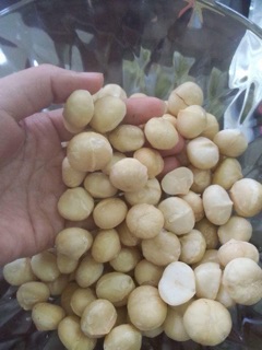 Macca Daklac- Hạt Điều- Cacao