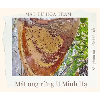 Mật ong rừng U Minh Hạ 500ml