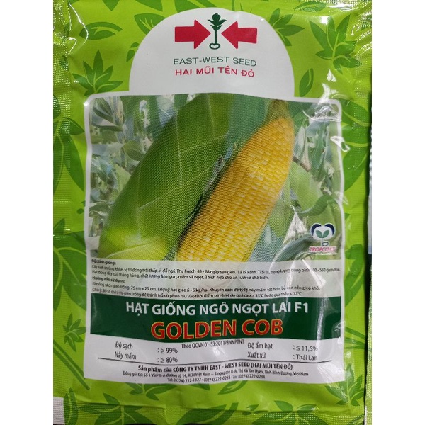 Hạt giống ngô ngọt lai F1 Golden COB - Bắp mỹ, bắp ngọt to, dễ trồng,10g, 50g