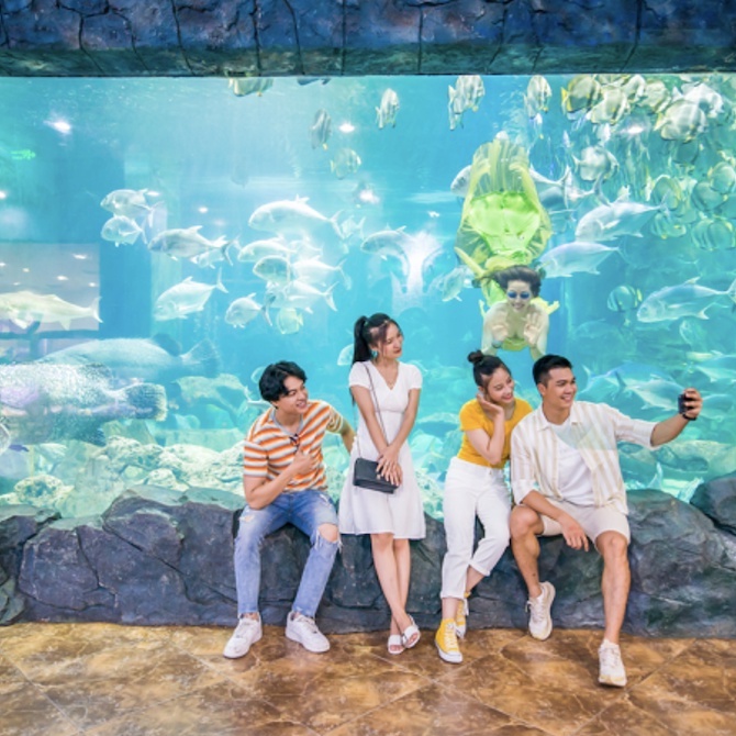 Vé QR Code vào cửa nhanh tại Thủy Cung Aquarium Times City - Áp dụng Cuối tuần và Lễ không phụ thu