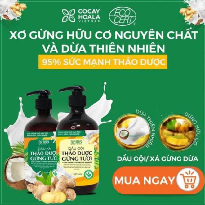 COMBO DẦU GỘI XẢ THẢO DƯỢC GỪNG DỪA HỮU CƠ CỎ CÂY HOA LÁ (440ml/chai) tặng kèm 1 bộ mini cùng loại (90g/lọ) | BigBuy360 - bigbuy360.vn