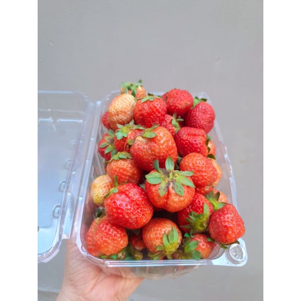 Hộp 3kg dâu tây Mỹ đá Size NHẤT nhà trồng