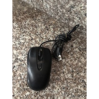 Chuột thường nhiều mẫu