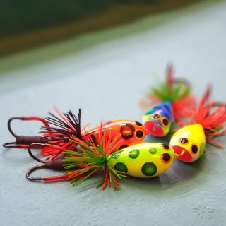 Mồi Gỗ chămpaka JF4511