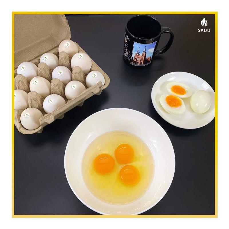 Trứng gà tươi SADU nuôi Organic, trứng gà không béo, thơm ngon, 12 quả 1 hộp