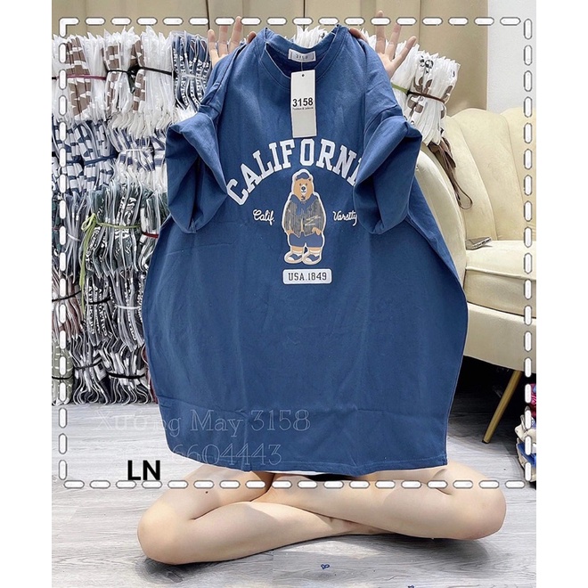 áo thun gấu califor