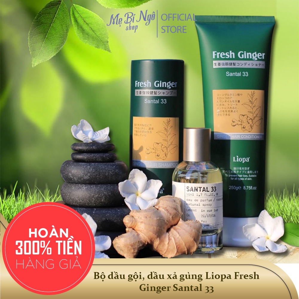 Bộ dầu gội, dầu xả gừng Liopa Fresh Ginger Santal 33
