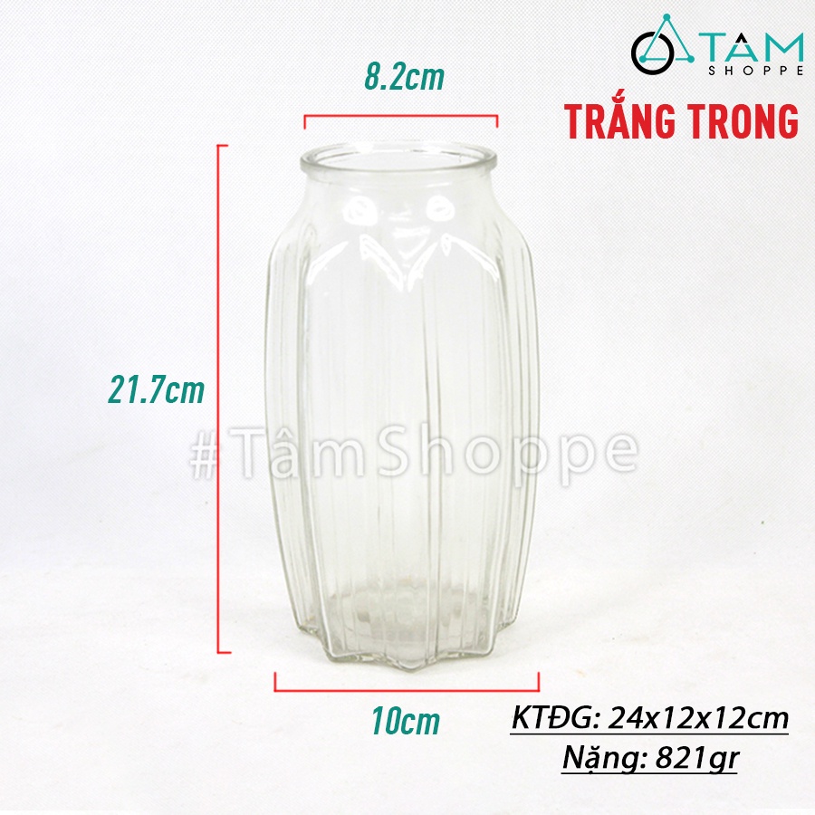 Lọ hoa thủy tinh trong suốt vạt sao 8 cạnh nhiều màu LHTT-67