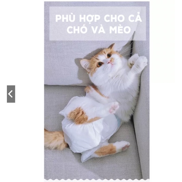 Tã quần Bỉm dono cho mèo, chó cái