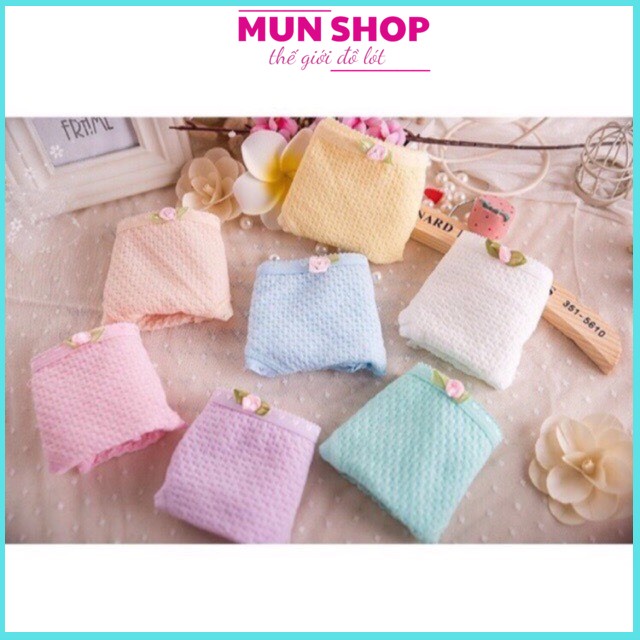 Combo 10 quần cotton sợi bông