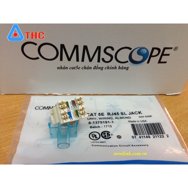 Nhân mạng AMP/commscope Cat5e chính hãng