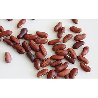 Hạt giống đậu đũa đỏ 40 hạt