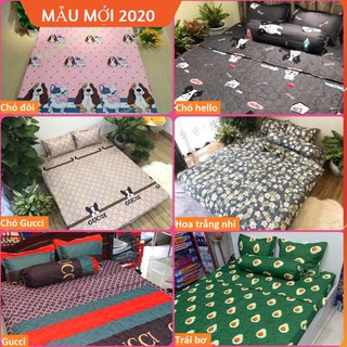 HCM Bộ ga gối poly Drap 1m6x2m mã hàng M07