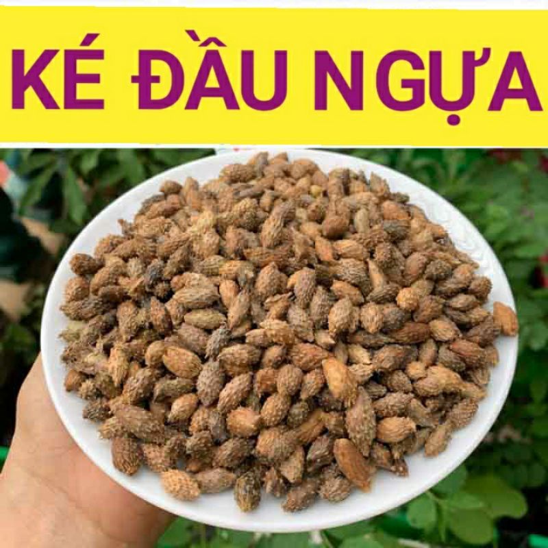Ké Đầu Ngựa 1kg - Ké Quả - Thương Nhĩ Tử -  Hàng mới, khô, đẹp
