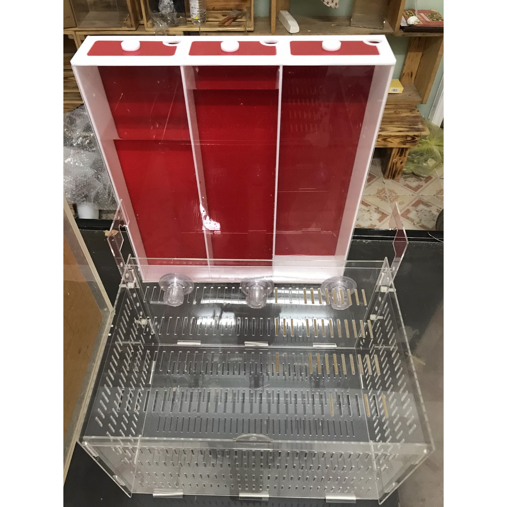 Bể Acrylic. Hít chân không treo lồng dưỡng cá, tép, san ho