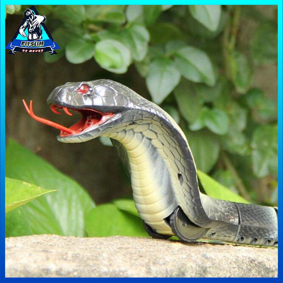 RC điều khiển từ xa hồng ngoại Rắn và trứng Rắn đuôi chuông Động vật Lừa kinh hoàng [8/9]