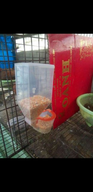 Máng đựng thức ăn tự động cho chim