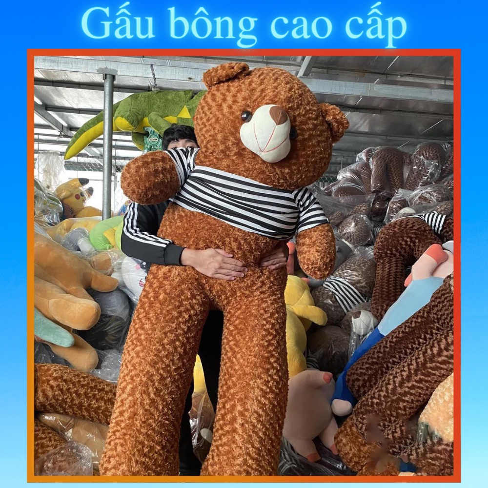 Gấu bông Teddy 🛡𝑯𝒂̀𝒏𝒈 𝑪𝒂𝒐 𝑪𝒂̂́𝒑🛡, gối ôm hình thú nhồi bông siêu to khổng lồ 1m8/1m5/1m3/1m1/95cm