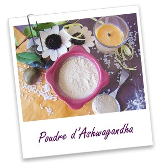 Bột nhân sâm - Poudre ayurvédique d'Ashwagandha