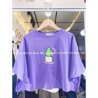 Áo Phông Croptop Chất Dày Mịn