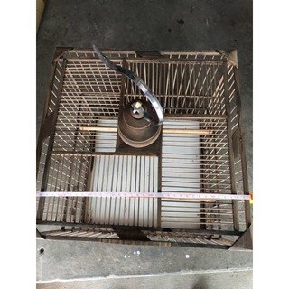 lồng đấu chào mào gỗ muồng