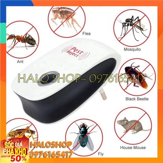 Máy đuổi côn trùng chuột gián tạo sóng siêu âm cao cấp