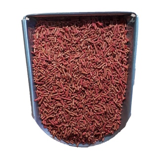 Cám ớt 1kg cho chim sáo, nhồng, cưỡng tập nói - thức ăn chim